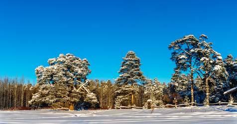 Similar image 21089285