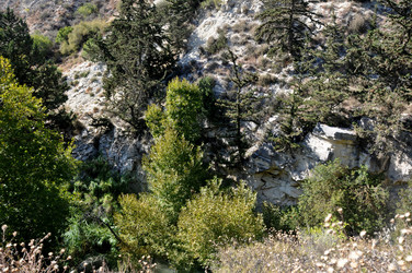 Similar image 21122296