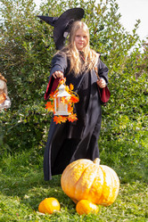 Similar image 21112449