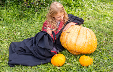 Similar image 21102773