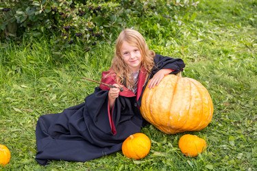 Similar image 21109639