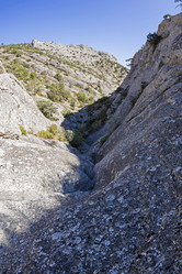 Similar image 21090231