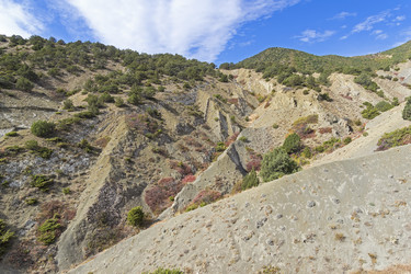 Similar image 21090245