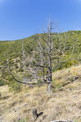 Similar image 21090251