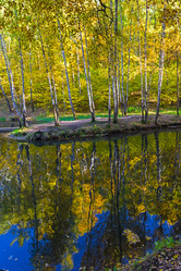 Similar image 21090253