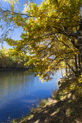 Similar image 21090254