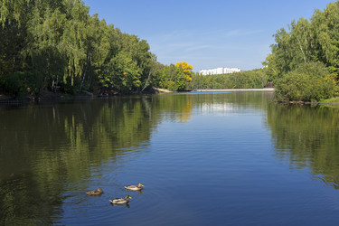 Similar image 21090256