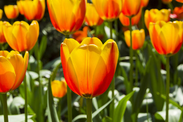 Similar image 21090260