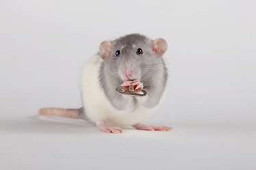 Similar image 21094714