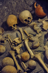 Similar image 21122329