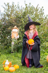 Similar image 21104896