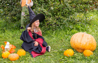 Similar image 21104901