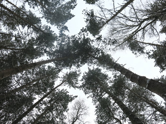 Similar image 21089937