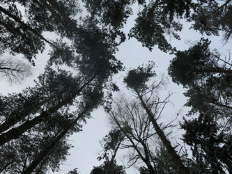 Similar image 21089938