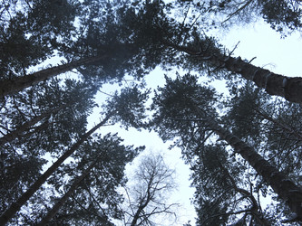 Similar image 21089941