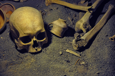 Similar image 21122348