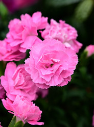 Similar image 21090270