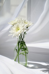 Similar image 21090284