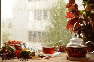 Similar image 21090292