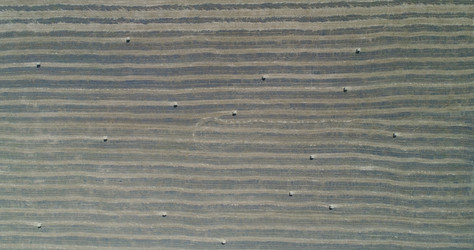 Similar image 21090381