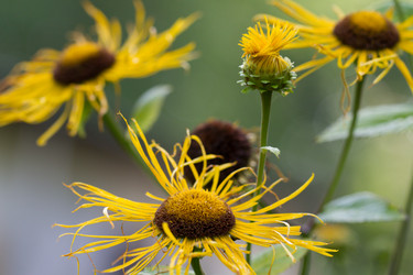 Similar image 21090398