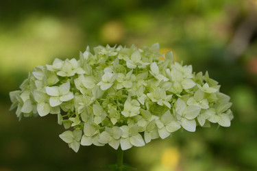 Similar image 21090399