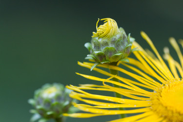 Similar image 21090404