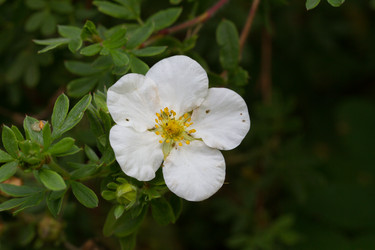 Similar image 21090405