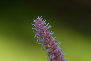 Similar image 21090406