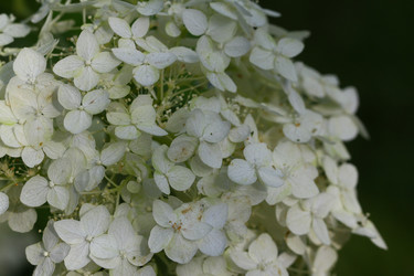 Similar image 21090407