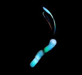 Similar image 21095856