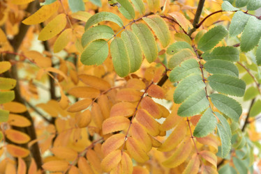 Similar image 21090427