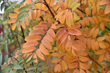 Similar image 21090428