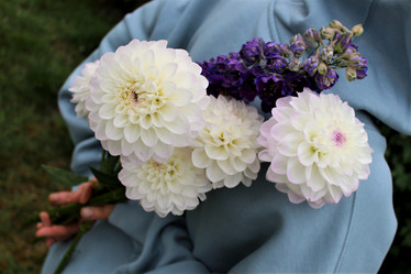 Similar image 21090709