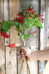 Similar image 21090710