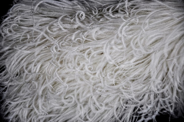 Similar image 21122744