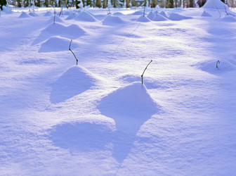 Similar image 21090716