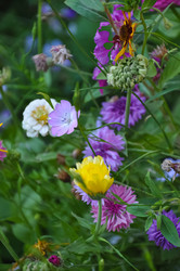 Similar image 21122577