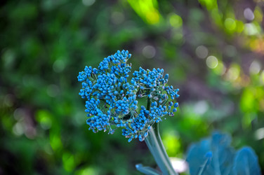 Similar image 21122579