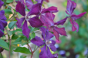 Similar image 21122580