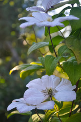 Similar image 21122583