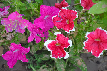 Similar image 21122584