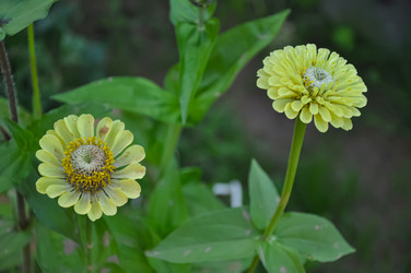 Similar image 21122587