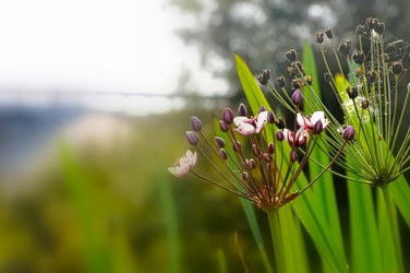 Similar image 21122755