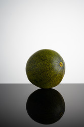 Similar image 21090719