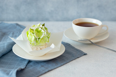 Similar image 21090727