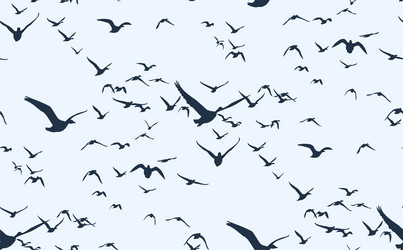 Similar image 21098398