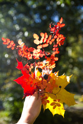 Similar image 21092207