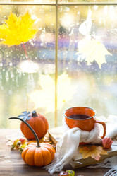 Similar image 21092685