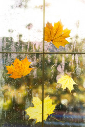 Similar image 21092690